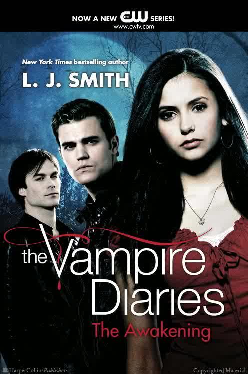 tvd the awakening