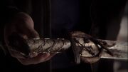 Sword