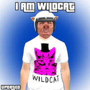 i am wildcat funko pop