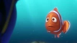 Finding Dory