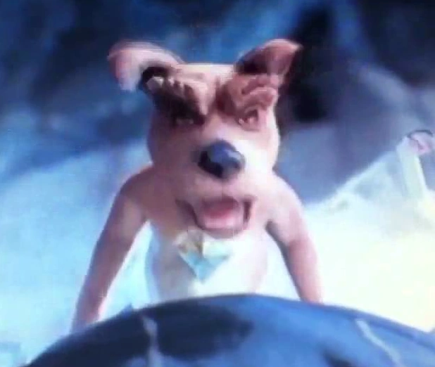 Imagenes De Scrappy Doo Images Breaking Point Band Pictures Diy