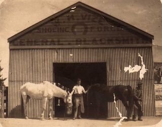 WHVize Blacksmith