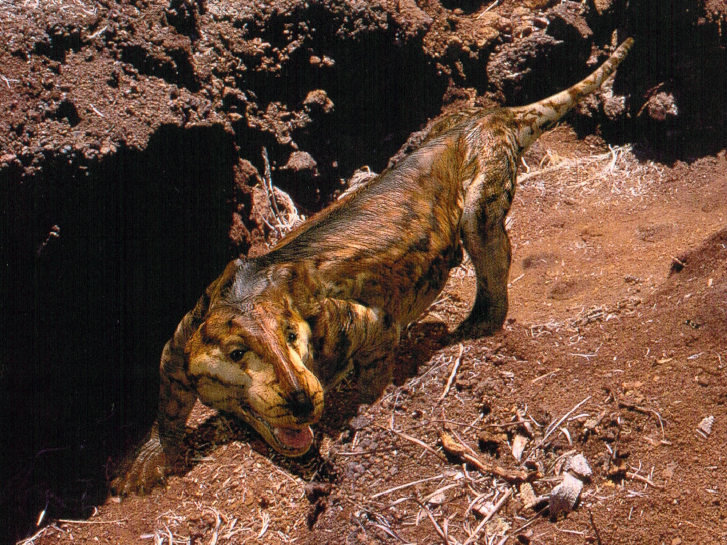 Walking With Dinosaurs