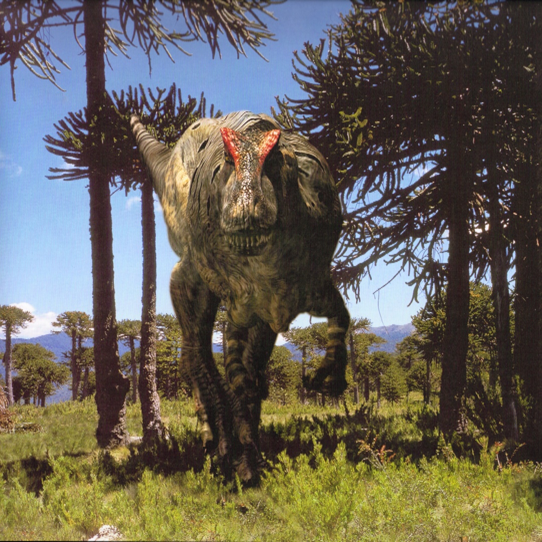 dwarf allosaurus