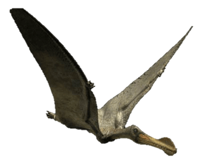 walking with dinosaurs ornithocheirus