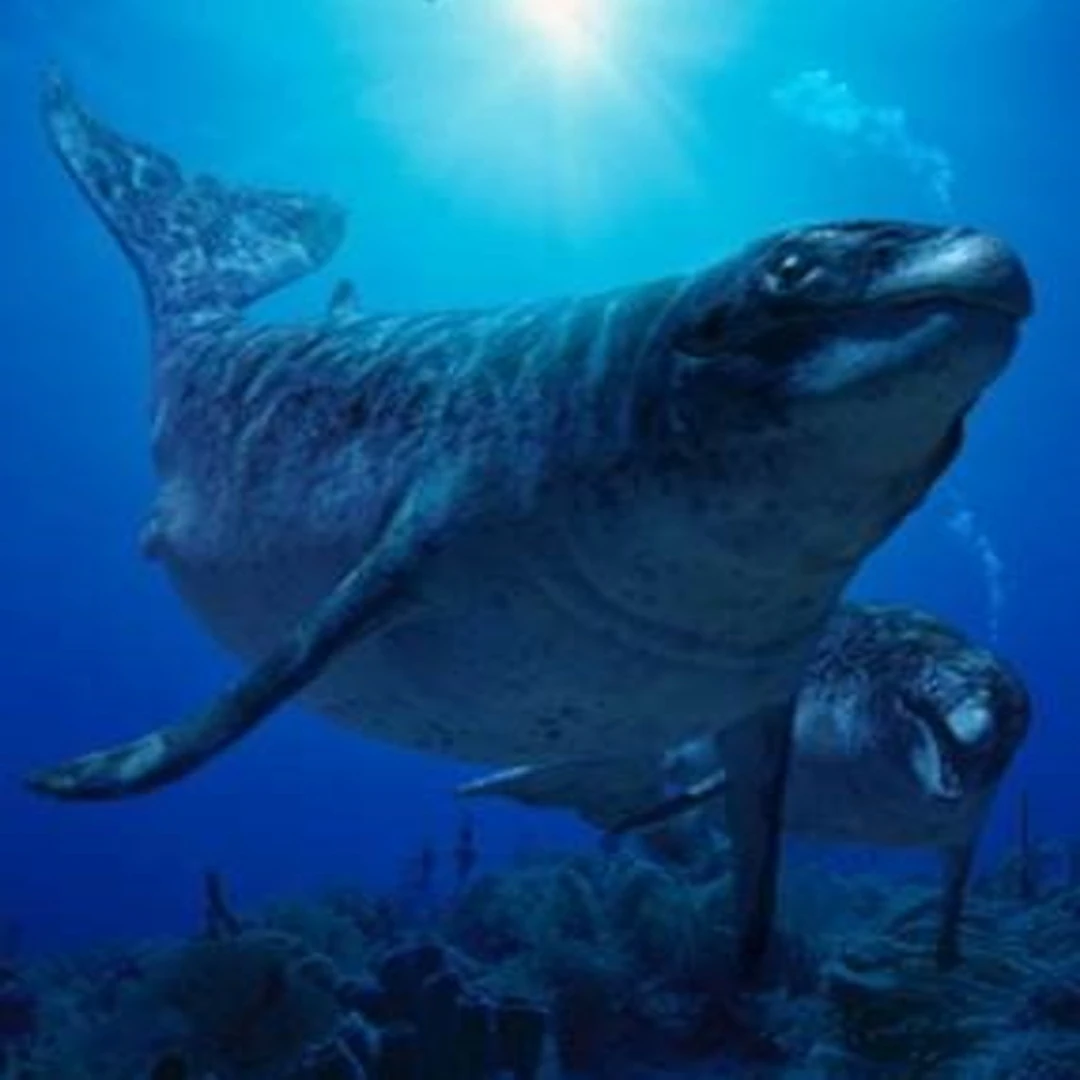 Image Promo Dorudon.jpg Walking With Wikis Fandom powered by Wikia