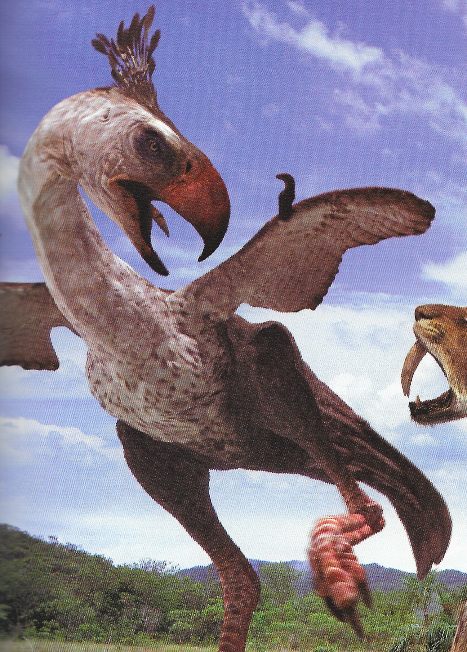 Phorusrhacos | Walking With Wikis | FANDOM powered by Wikia