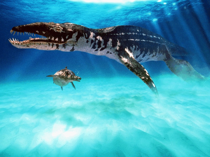 walking with dinosaurs megalodon