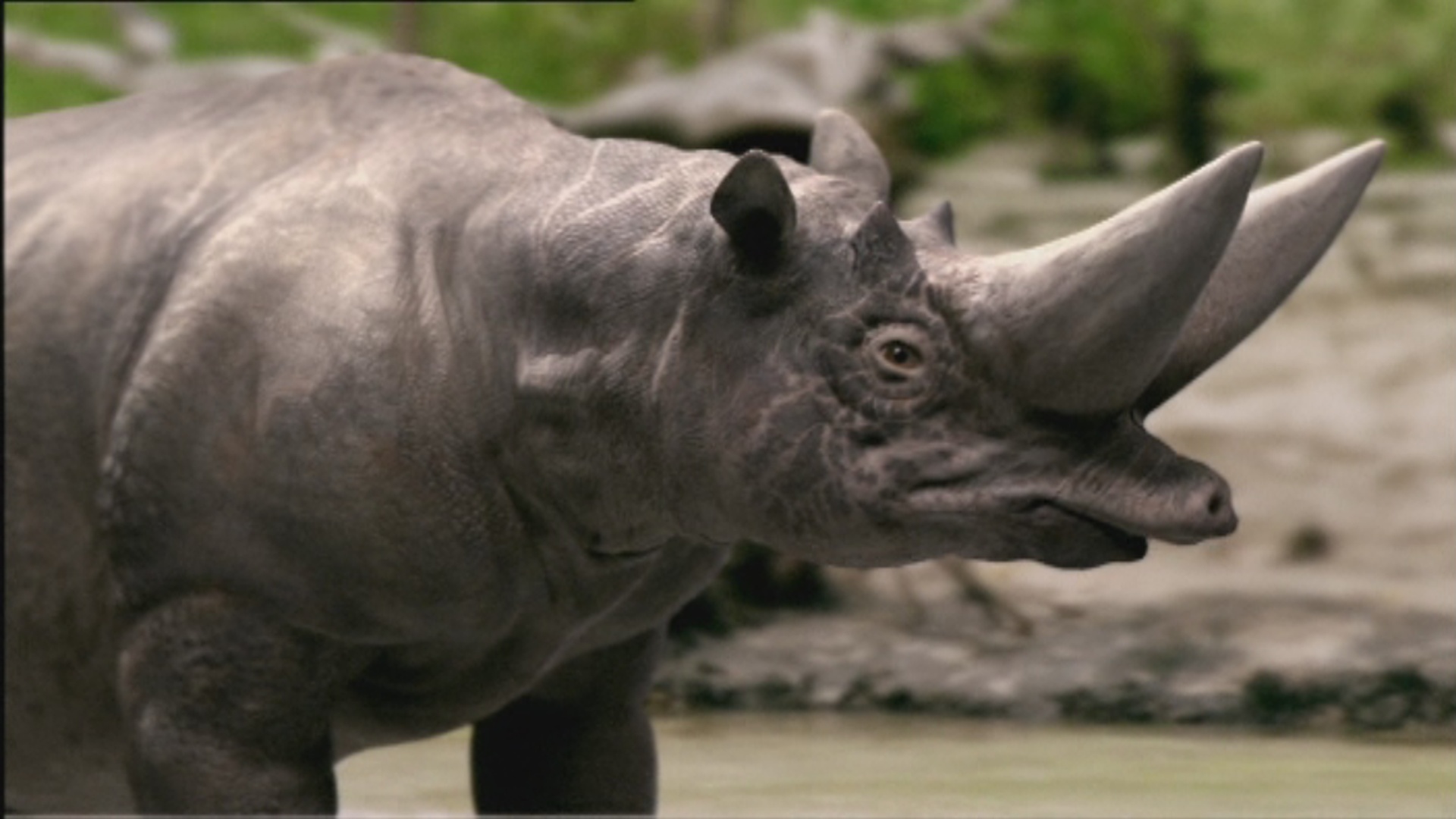 Image result for Arsinoitherium