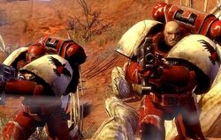 Tarkus