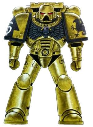 Golden Gryphons Battle-Brother