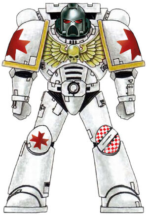 Hospitalers Astartes
