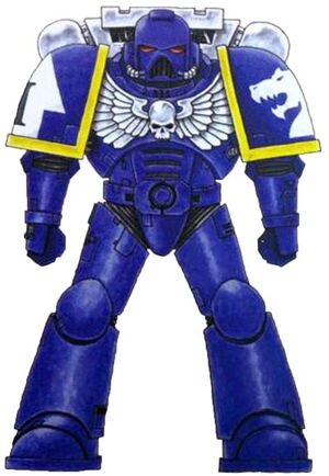 Star Dragons Scheme