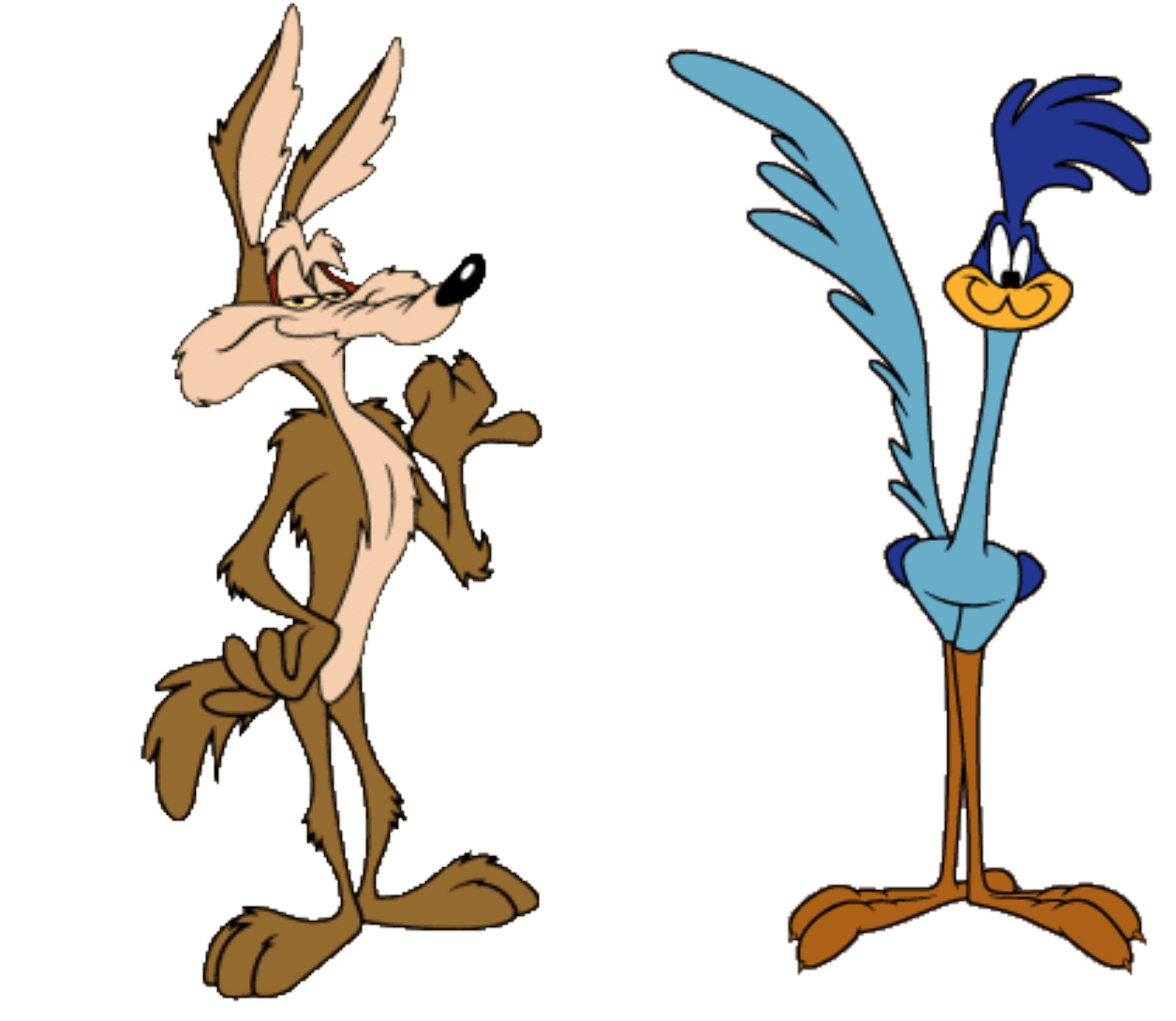 road runner and wile e coyote shoes