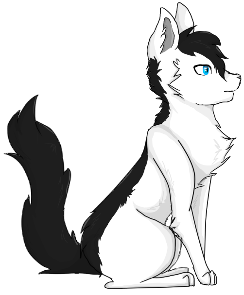 http://vignette2.wikia.nocookie.net/warrior-cats-rpg/images/6/61/Ashstripe.png/revision/latest?cb=20161026115154&path-prefix=de