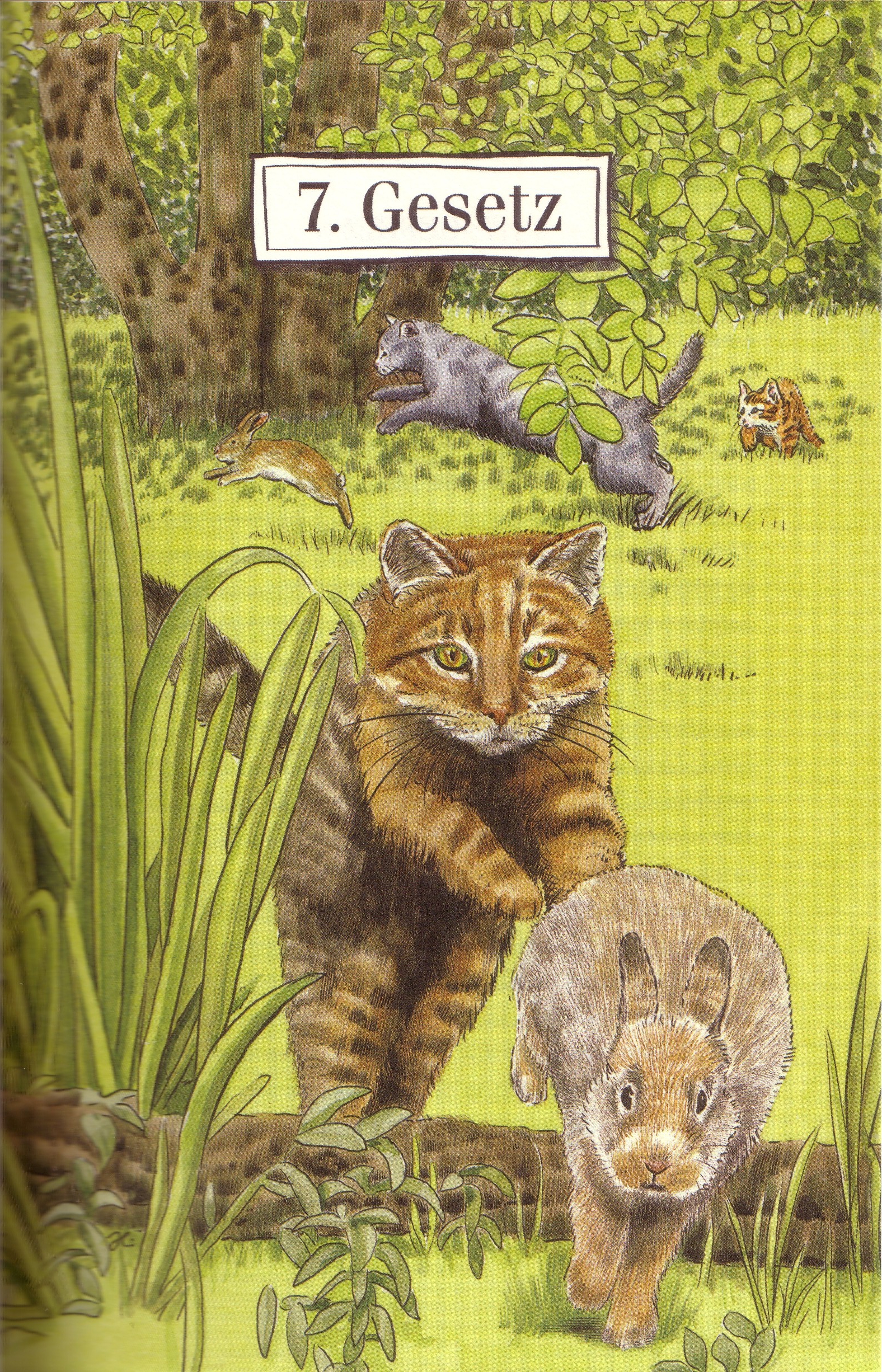 http://vignette2.wikia.nocookie.net/warrior-cats/images/1/12/Gesetz_7.jpg/revision/latest?cb=20111203101737&path-prefix=de