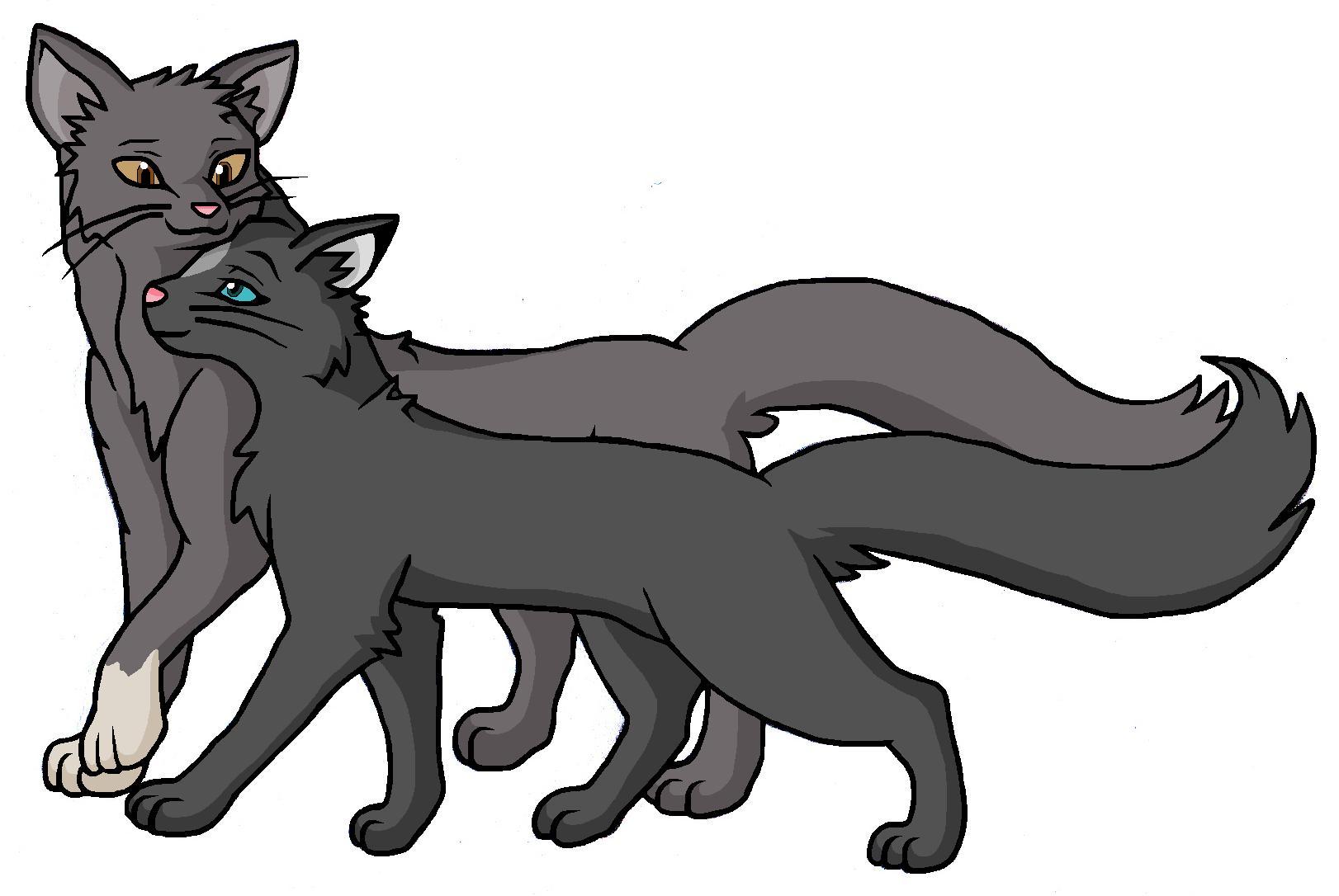 Ausmalbilder Warrior Cats Ausmalbilder Warrior Cats