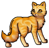 Warrior Cats Fleckenschweif Warrior Cats Fleckenschweif