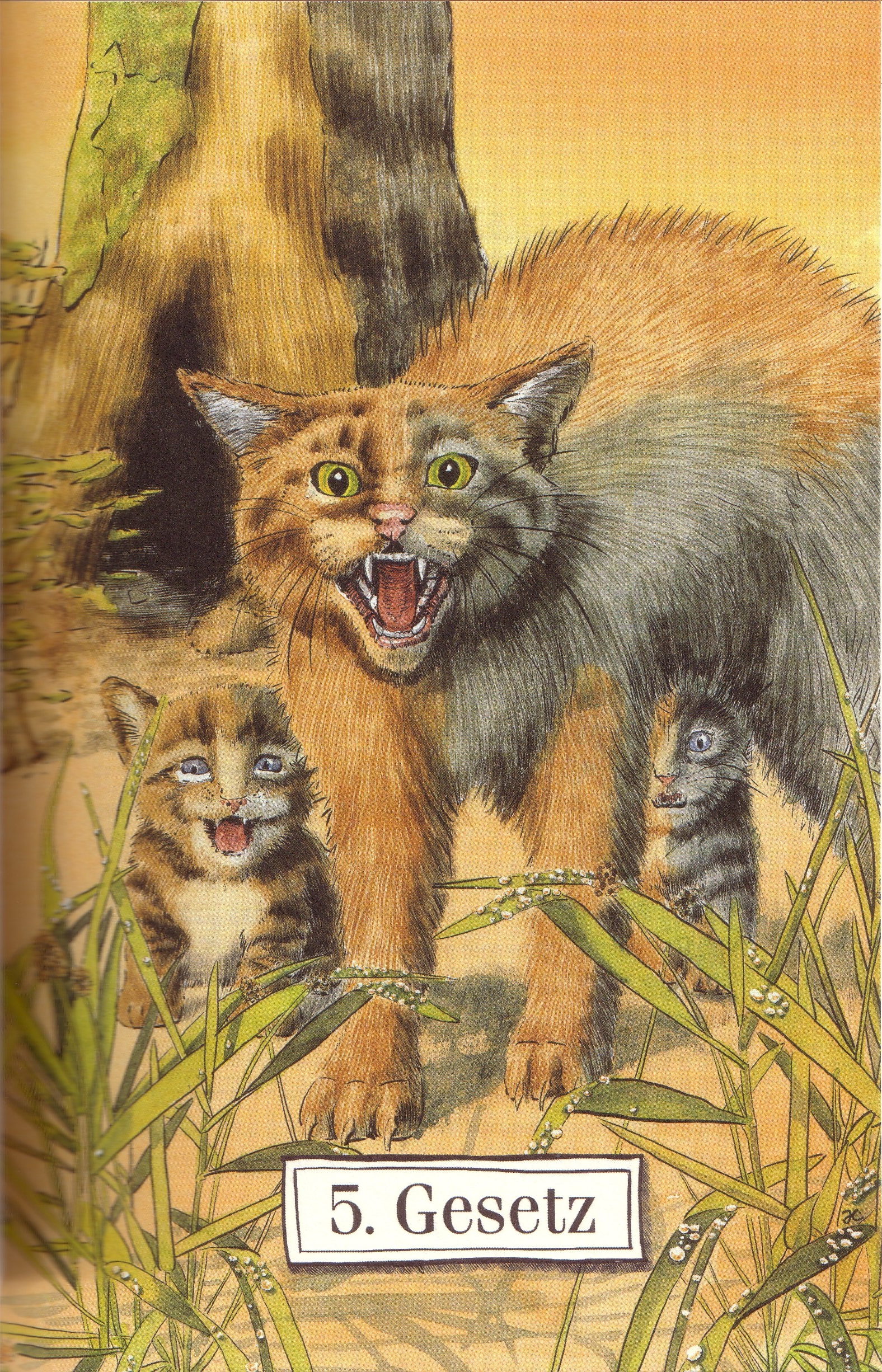 http://vignette2.wikia.nocookie.net/warrior-cats/images/c/c7/Gesetz_5.jpg/revision/latest?cb=20111203105542&path-prefix=de