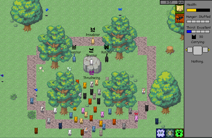 Warrior Cats Gathering Place Warrior Cats Gathering Place