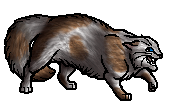 Fernshade Warrior Cats Fernshade Warrior Cats