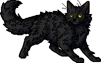 Estrela de Fogo, Wiki Gatos Guerreiros