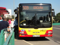 DSC03550.jpg