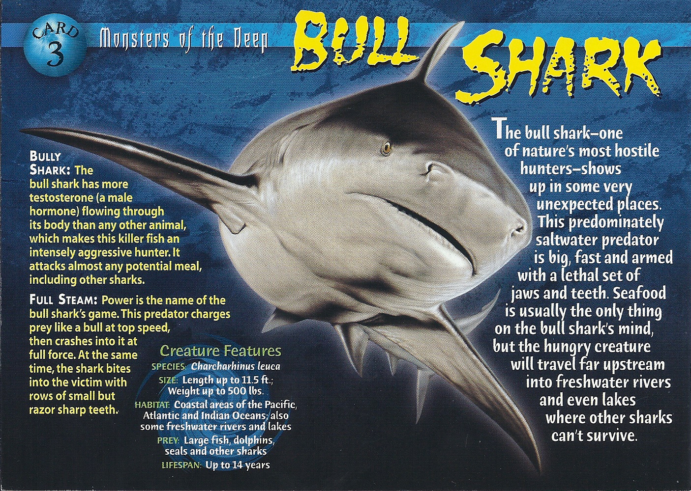 Bull Shark | Wierd N'wild Creatures Wiki | FANDOM powered by Wikia