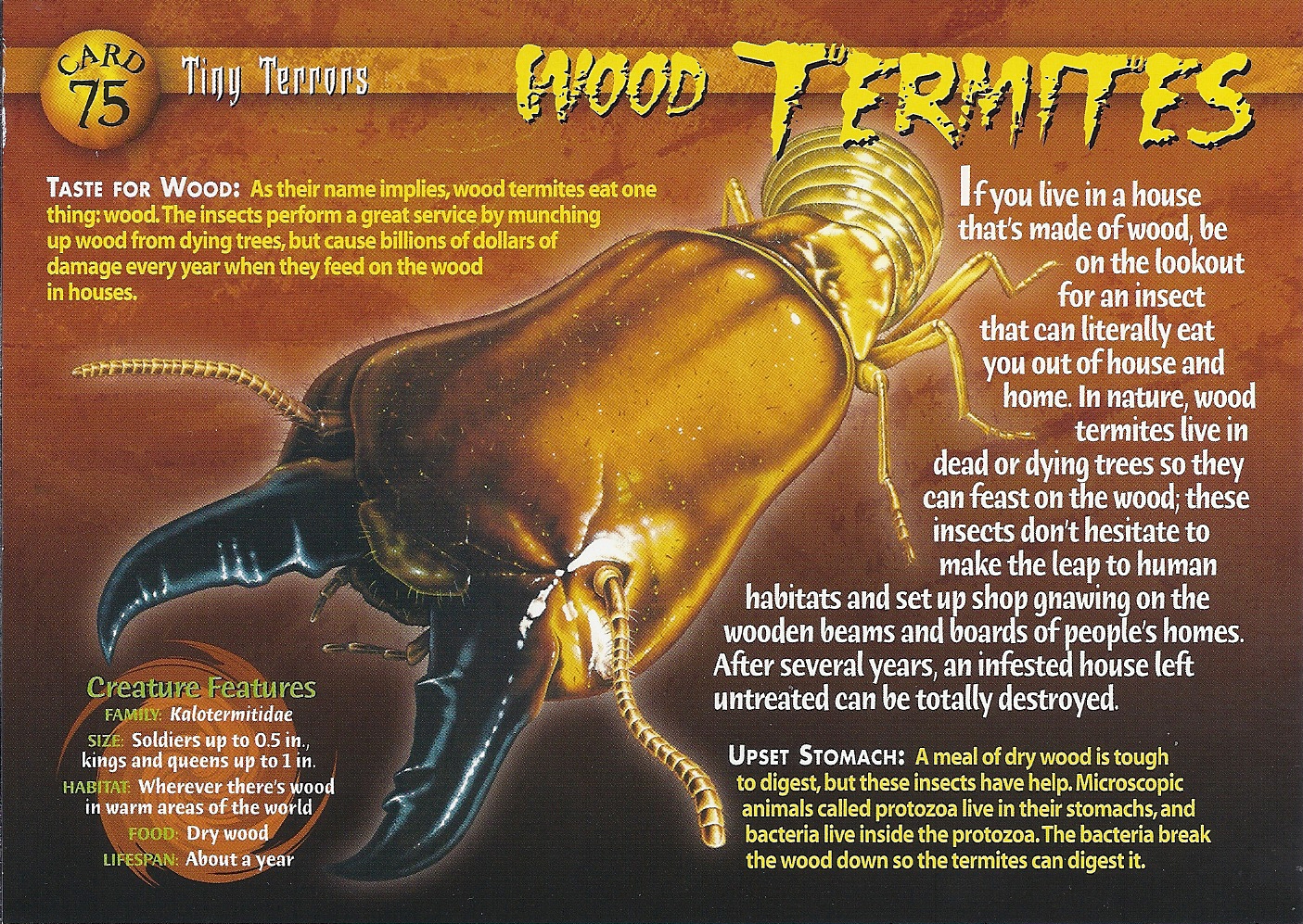 Wood Termites | Wierd N'wild Creatures Wiki | FANDOM ...