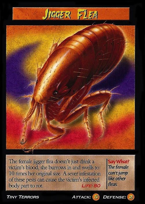 Jigger Flea TCG Wierd N'wild Creatures Wiki FANDOM powered by Wikia