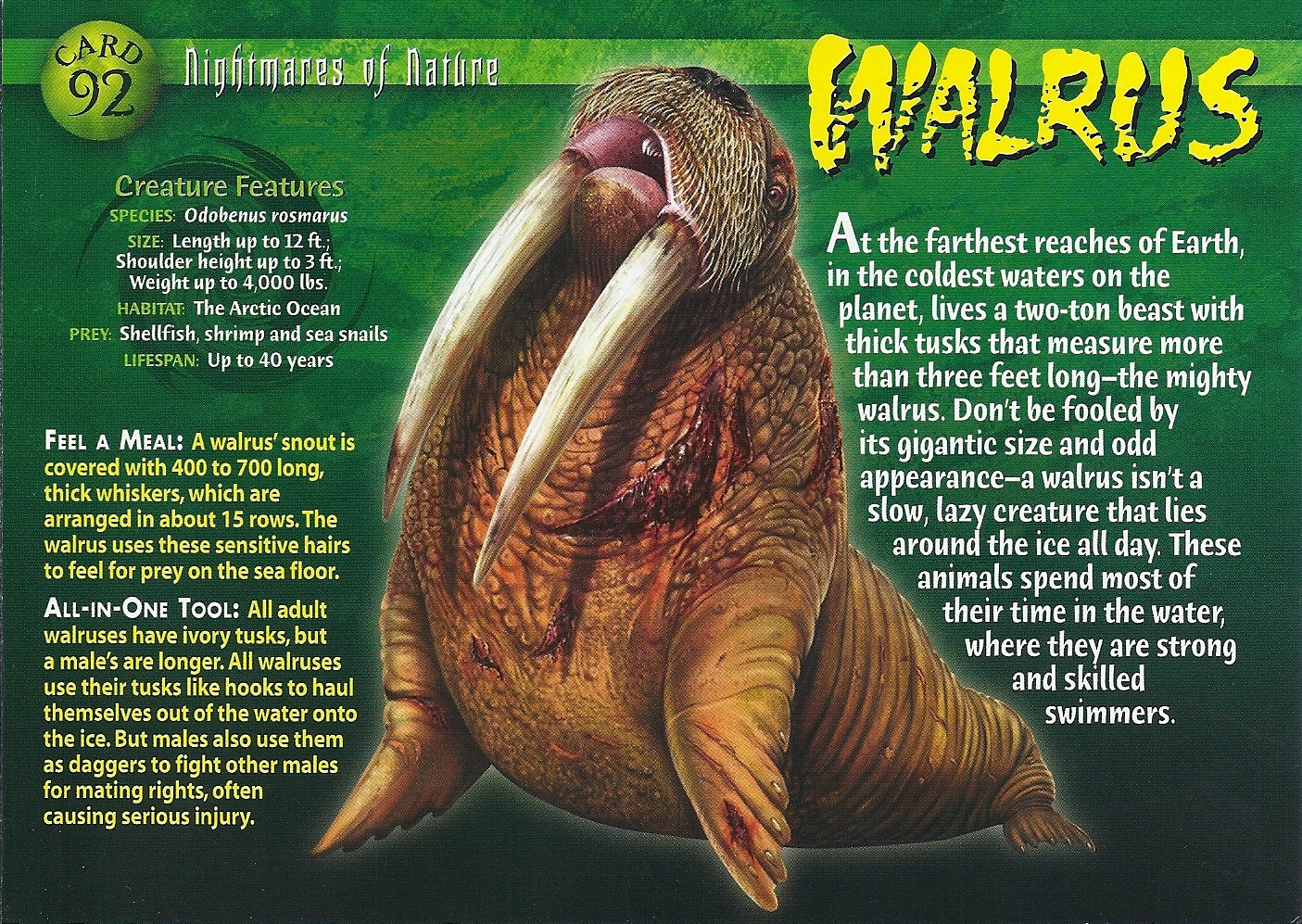 Walrus | Wierd N'wild Creatures Wiki | Fandom powered by Wikia