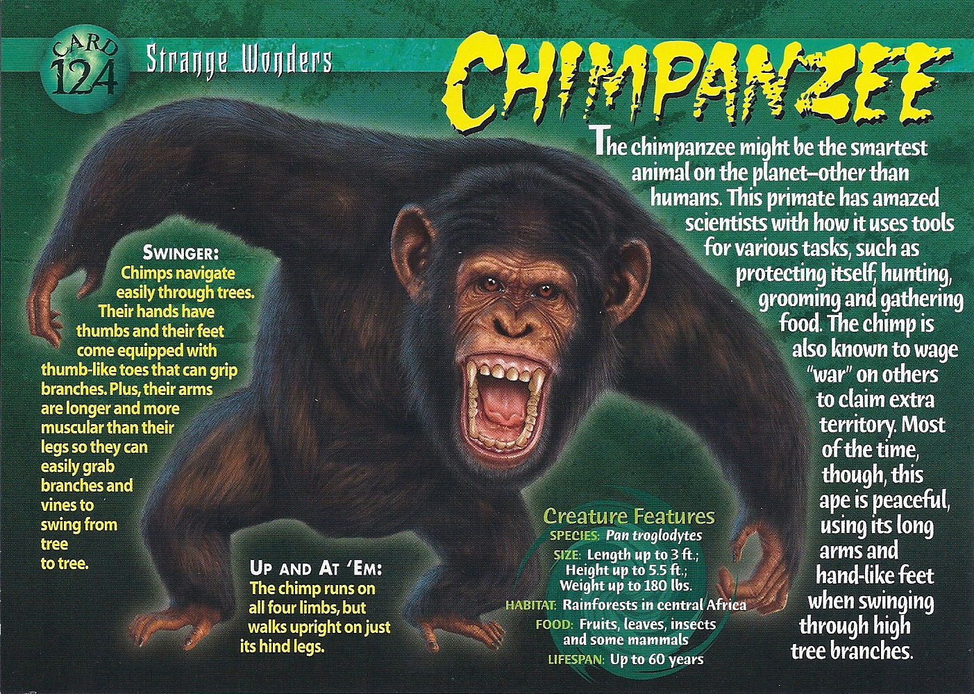 Chimpanzee | Wierd N'wild Creatures Wiki | FANDOM powered by Wikia