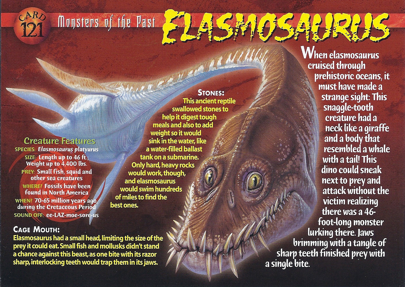 elasmosaurus prehistoric ocean creatures