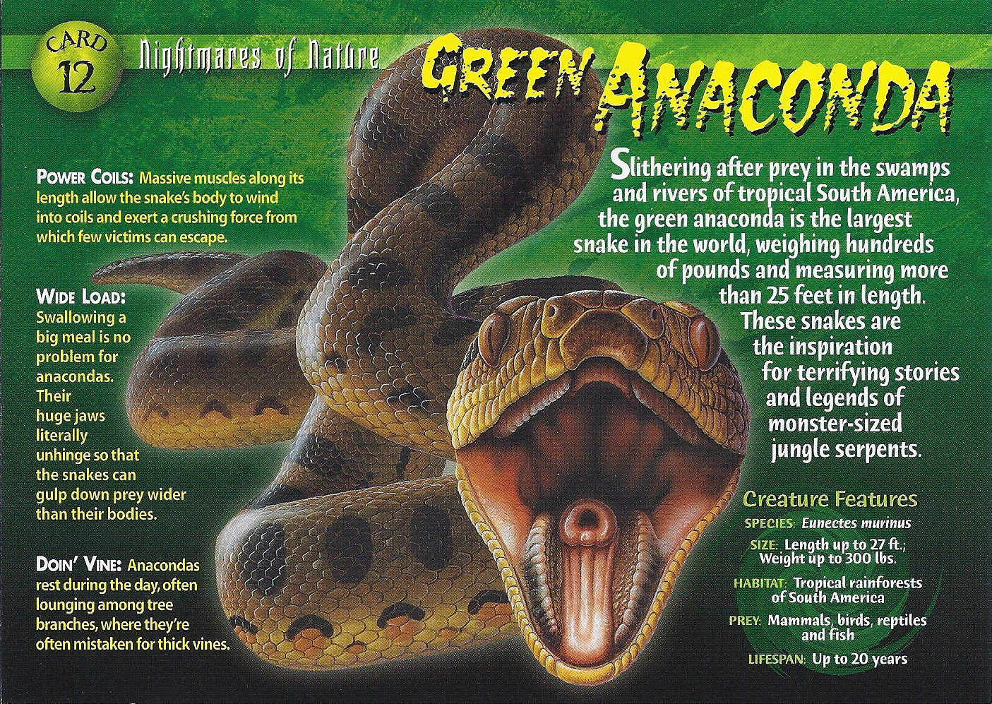 Image - Green Anaconda front.jpg | Wierd N'wild Creatures Wiki | FANDOM