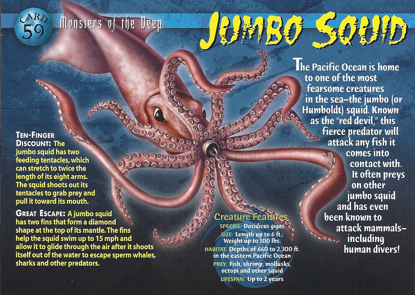 Jumbo Squid | Wierd N'wild Creatures Wiki | FANDOM powered by Wikia