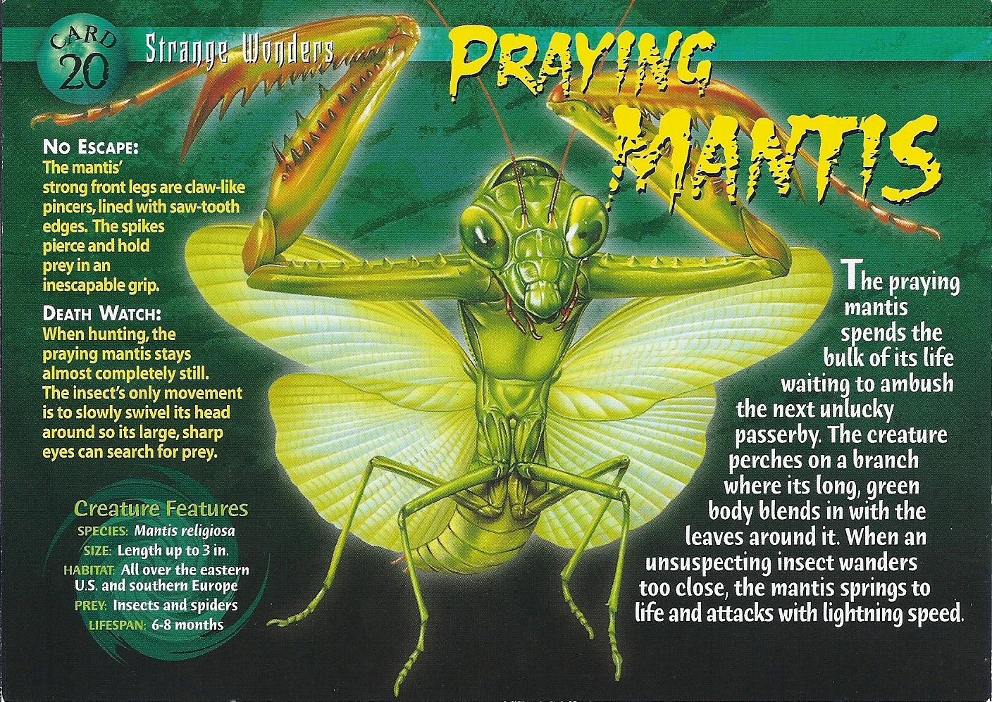 Praying Mantis Wierd N'wild Creatures Wiki FANDOM powered by Wikia