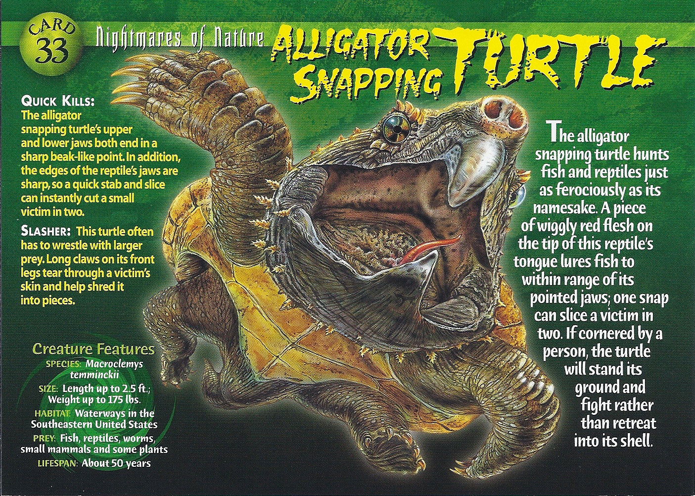 Alligator Snapping Turtle | Wierd N'wild Creatures Wiki | FANDOM