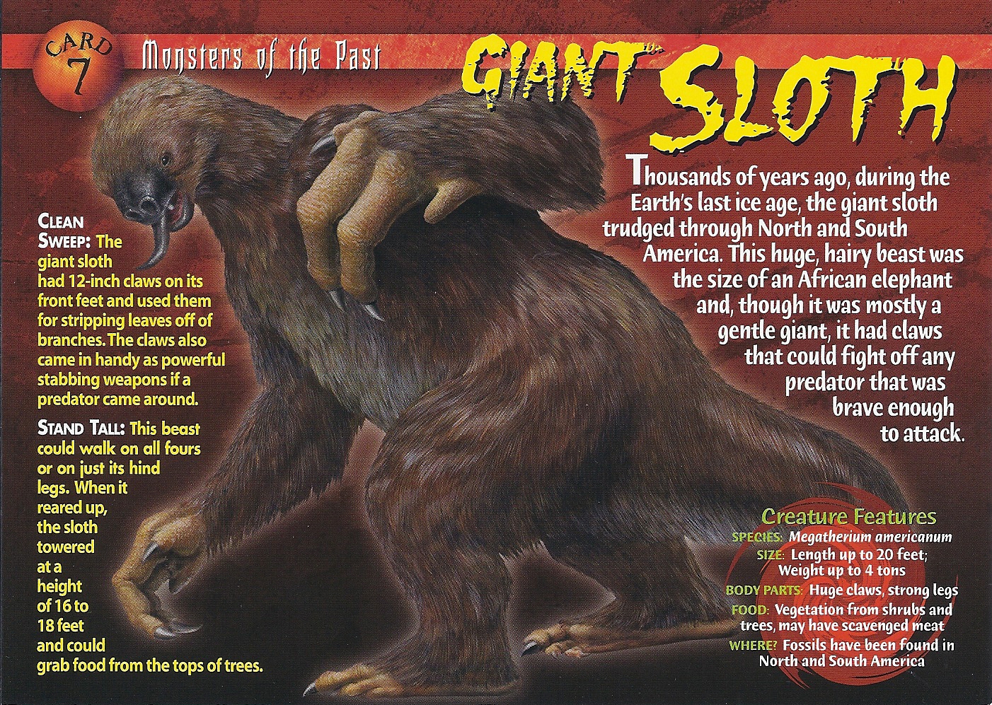 http://vignette2.wikia.nocookie.net/wierdnwildcreatures/images/d/d2/Giant_Sloth_front.jpg/revision/latest?cb=20130815021911