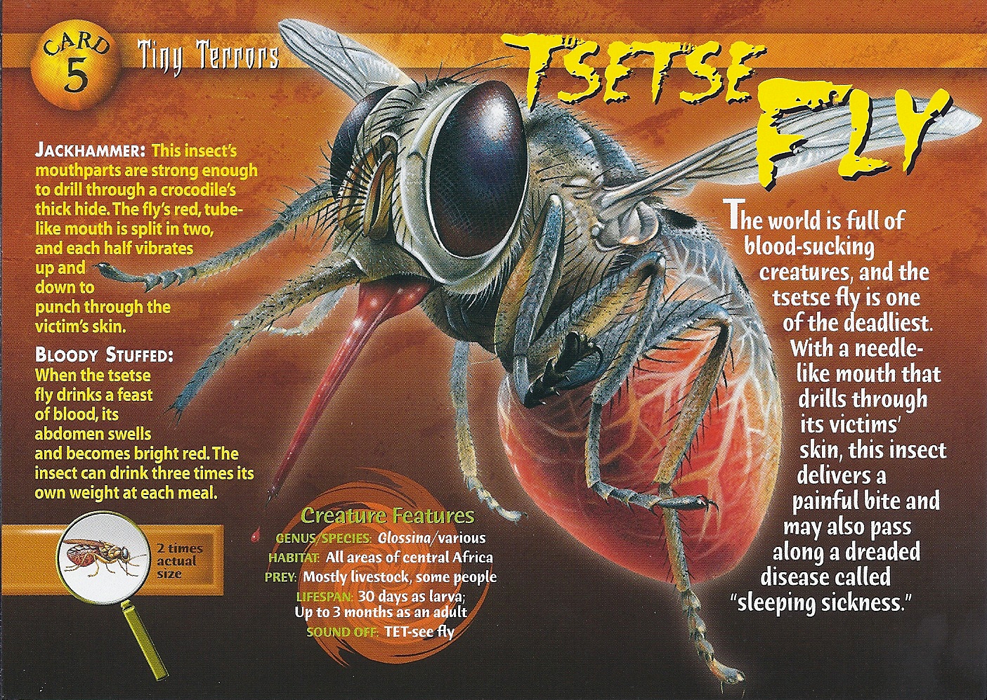 Tsetse Fly | Wierd N'wild Creatures Wiki | FANDOM powered by Wikia