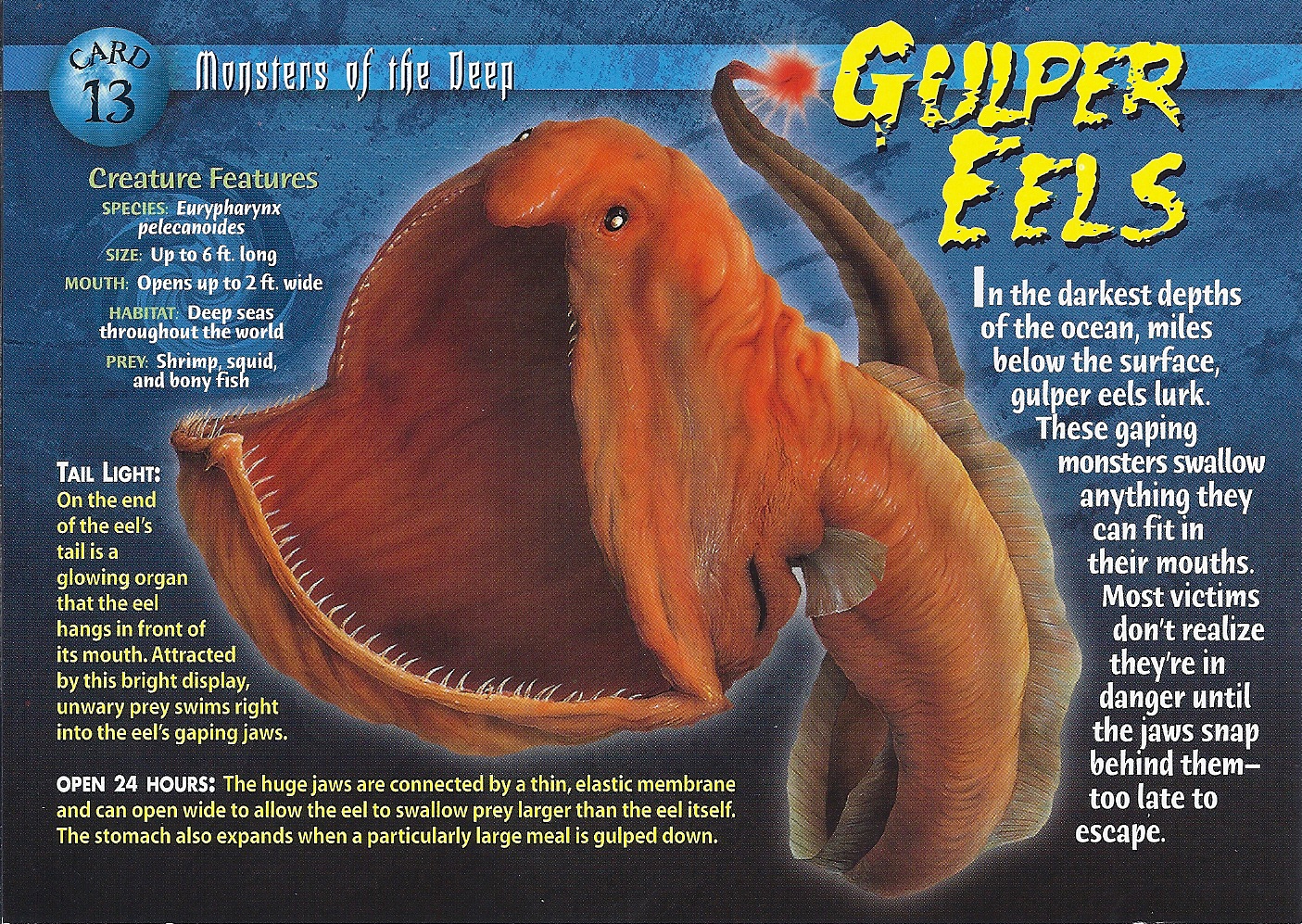 Gulper Eels | Wierd N'wild Creatures Wiki | FANDOM powered by Wikia