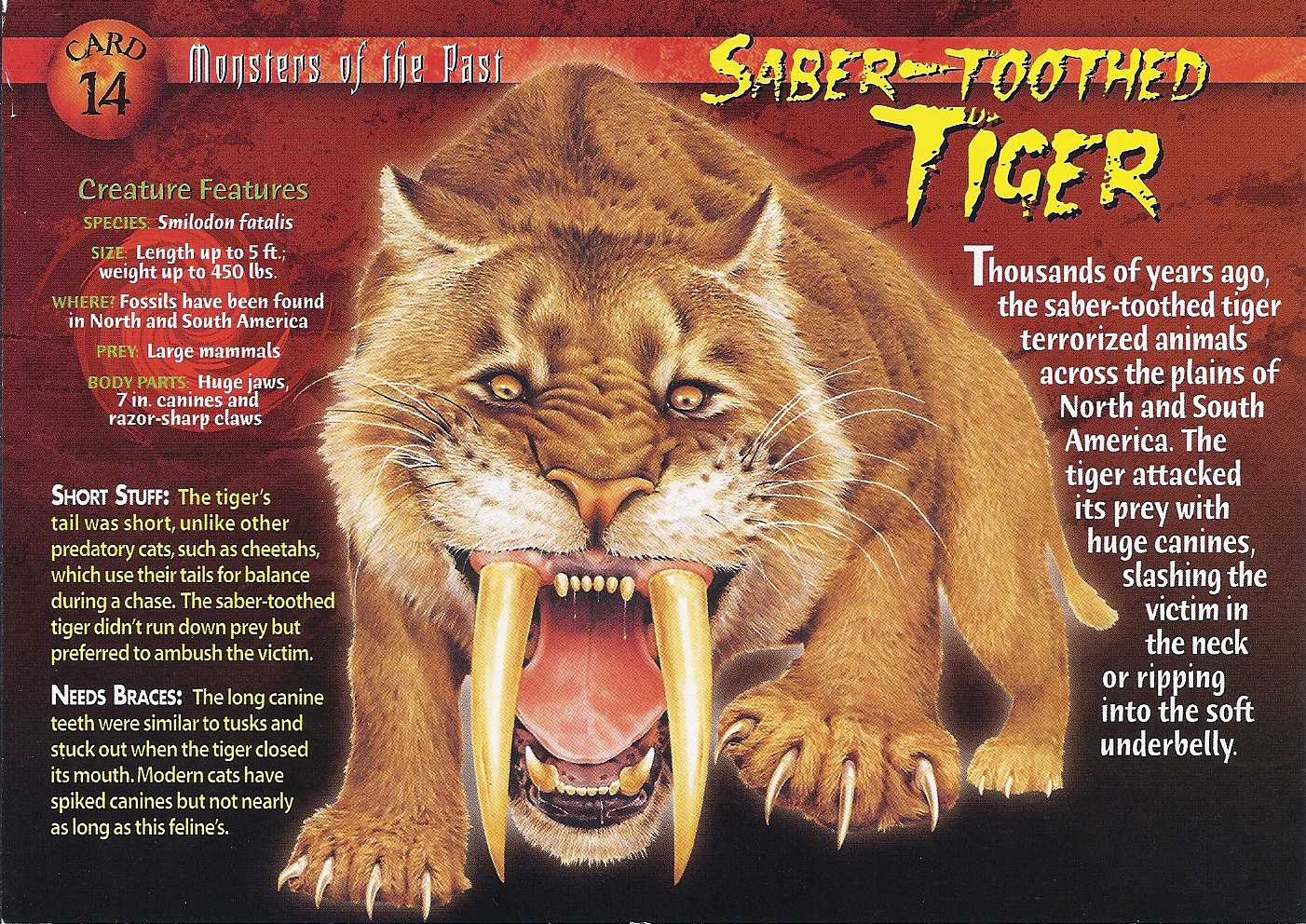 Saber-Toothed Tiger | Wierd N'wild Creatures Wiki | FANDOM powered by Wikia