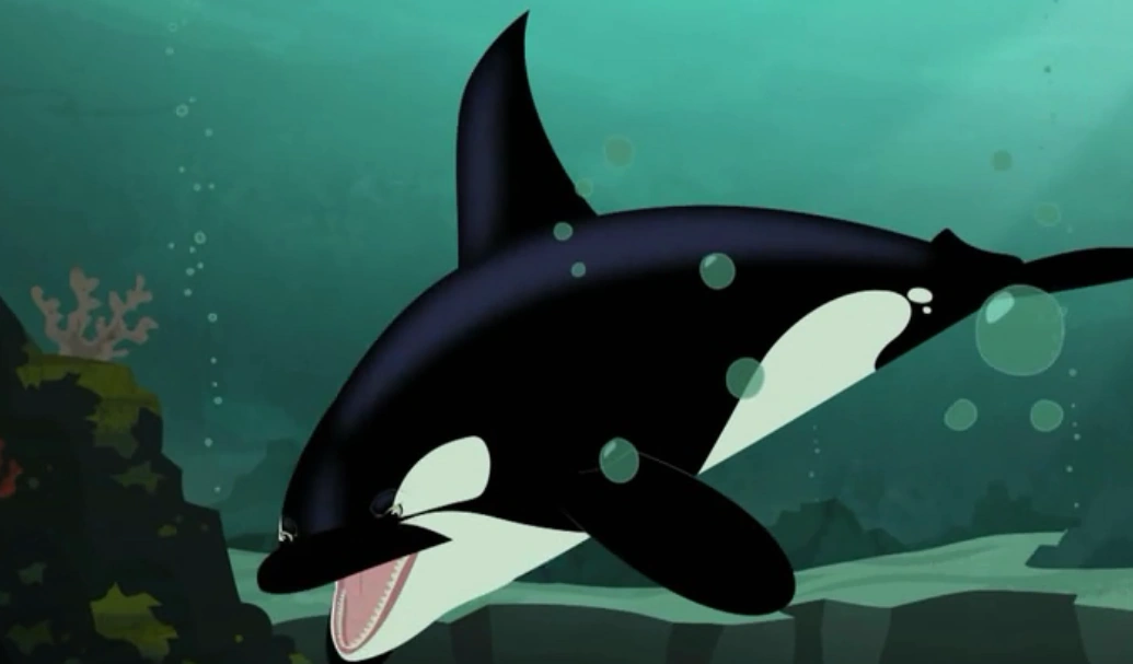 Image - Killer Whale-Wild Kratts.PNG | Wild Kratts Wiki | Fandom