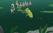 Mosquito Dragon - Wild Kratts Wiki