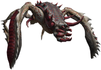 Bestiary Kikimore warrior full