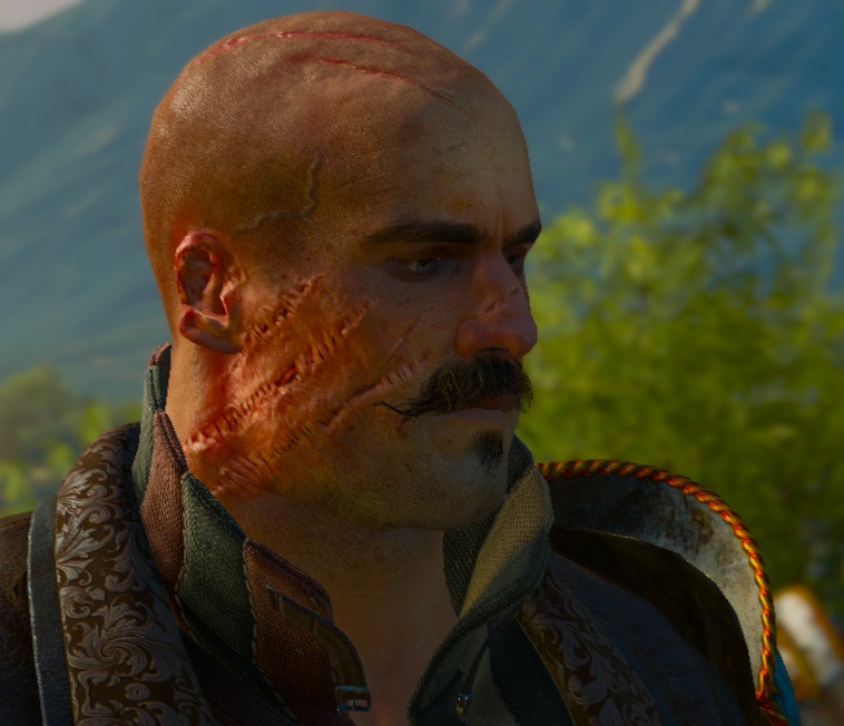 witcher 3 capture the castle