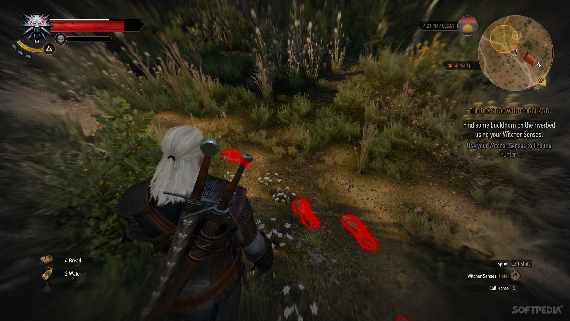 Image result for Witcher senses