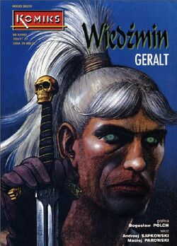 The order of the witcher books