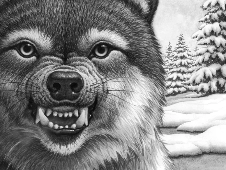 Image Frost Wolf 3.jpg Wolves of the beyond Wiki Fandom powered