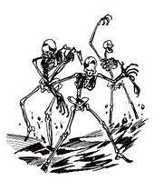 Skeleton