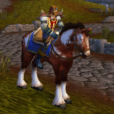 Pinto Bridle | WoWWiki | Fandom powered by Wikia